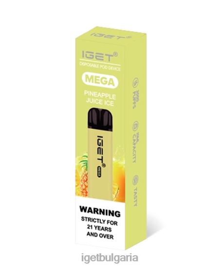 IGET Wholesale - mega BB02D140 сок от ананас лед
