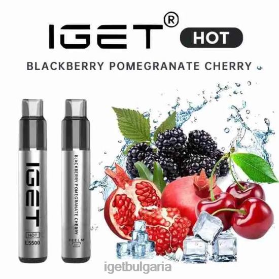 IGET Wholesale - hot - 5500 впръсквания BB02D650 къпина нар череша